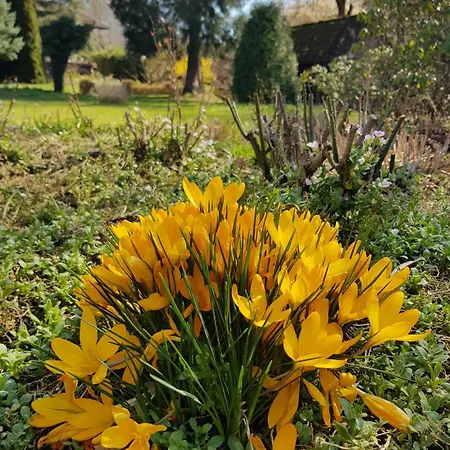 מלון Landgasthof Hirsch