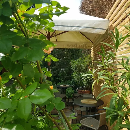 Landgasthof Hirsch Otel 3*
