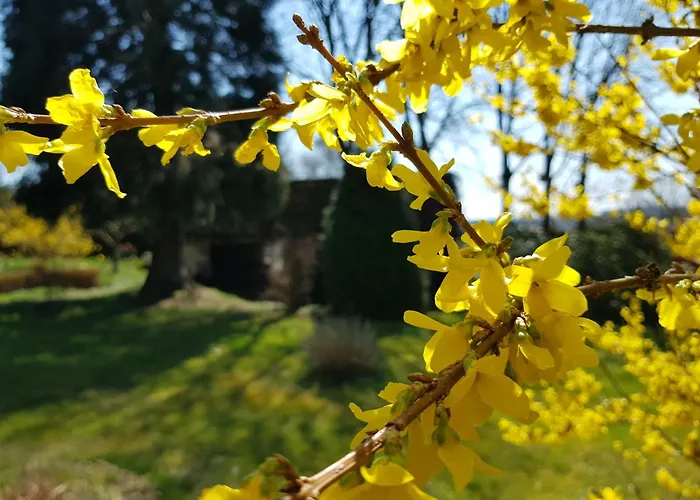 Landgasthof Hirsch מלון Marktlustenau